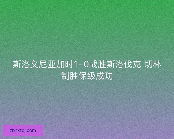 斯洛文尼亚加时1-0战胜斯洛伐克 切林制胜保级成功