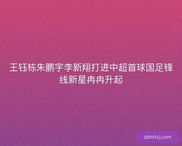 王钰栋朱鹏宇李新翔打进中超首球国足锋线新星冉冉升起