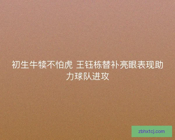 初生牛犊不怕虎 王钰栋替补亮眼表现助力球队进攻